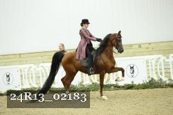 24R13_02183 thumbnail