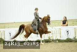 24R13_02185 thumbnail