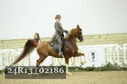 24R13_02186 thumbnail