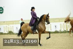 24R13_02190 thumbnail