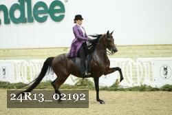 24R13_02192 thumbnail