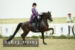24R13_02193 thumbnail