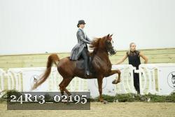 24R13_02195 thumbnail