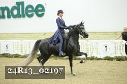 24R13_02197 thumbnail