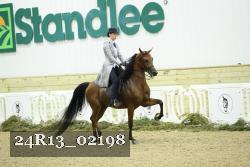 24R13_02198 thumbnail