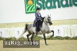 24R13_02199 thumbnail