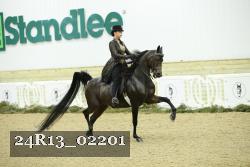 24R13_02201 thumbnail