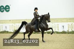 24R13_02202 thumbnail