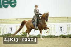 24R13_02204 thumbnail