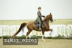 24R13_02205 thumbnail