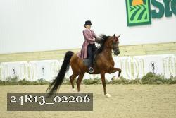 24R13_02206 thumbnail
