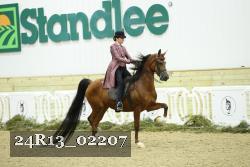 24R13_02207 thumbnail