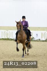 24R13_02208 thumbnail