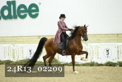 24R13_02209 thumbnail