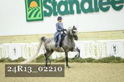 24R13_02210 thumbnail