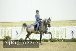 24R13_02212 thumbnail