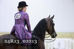 24R13_02213 thumbnail