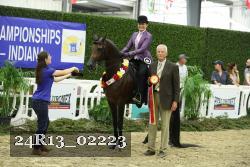 24R13_02223 thumbnail