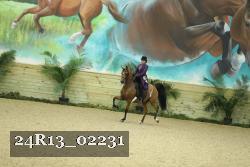 24R13_02231 thumbnail