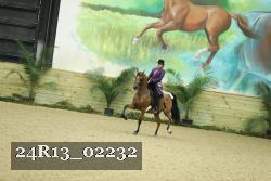 24R13_02232 thumbnail
