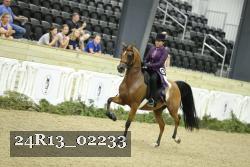 24R13_02233 thumbnail