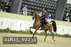 24R13_02234 thumbnail
