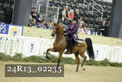 24R13_02235 thumbnail