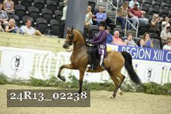 24R13_02238 thumbnail