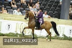 24R13_02239 thumbnail