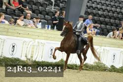 24R13_02241 thumbnail
