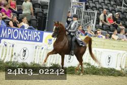 24R13_02242 thumbnail