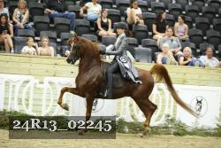 24R13_02245 thumbnail