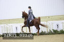 24R13_02246 thumbnail