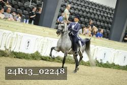 24R13_02248 thumbnail