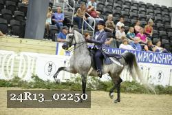 24R13_02250 thumbnail