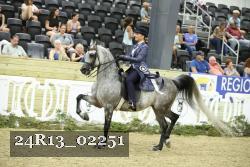 24R13_02251 thumbnail