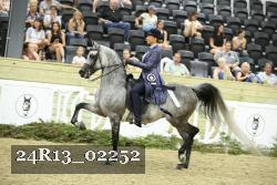 24R13_02252 thumbnail