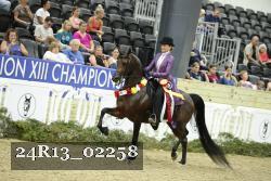 24R13_02258 thumbnail
