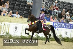 24R13_02259 thumbnail