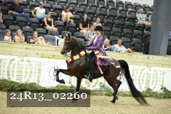 24R13_02260 thumbnail