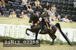 24R13_02268 thumbnail