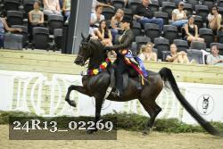24R13_02269 thumbnail