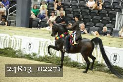 24R13_02271 thumbnail