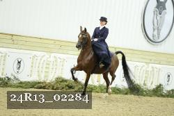 24R13_02284 thumbnail