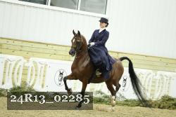 24R13_02285 thumbnail