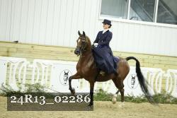 24R13_02286 thumbnail