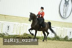 24R13_02288 thumbnail