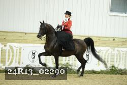24R13_02290 thumbnail