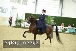 24R13_02292 thumbnail