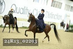 24R13_02293 thumbnail